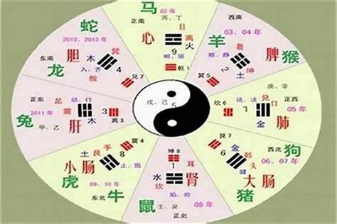 全字五行|五行汉字属性查询